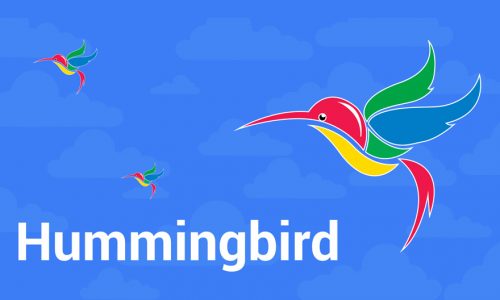 الگوریتم مرغ مگس‌ خوار گوگل (hummingbird algorithm) چیست