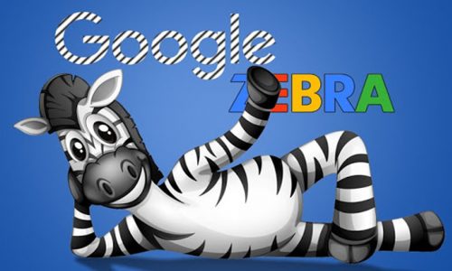 الگوریتم گورخر گوگل Google Zebra چیست؟